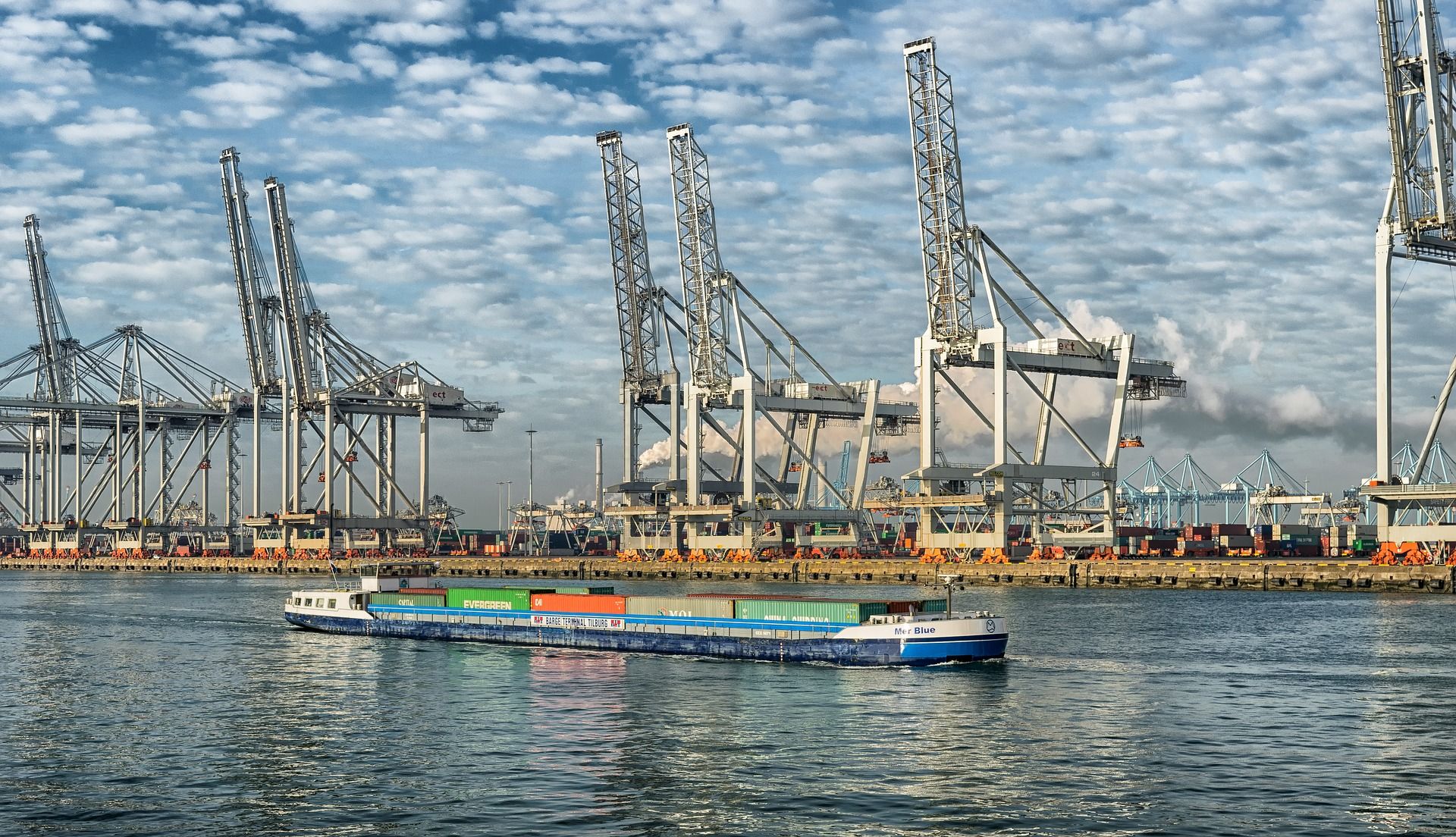 Havenbekken in Rotterdam met containerkranen en schepen in de ochtendnevel